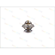 termostatlichid racire MAN F 2000 Producator THERMOTEC D2MA002TT