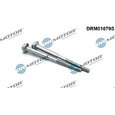 Surub, suport injector SEAT TARRACO (KN2_), Crossover, 09.2018 - Dr.Motor Automotive DRM01079S