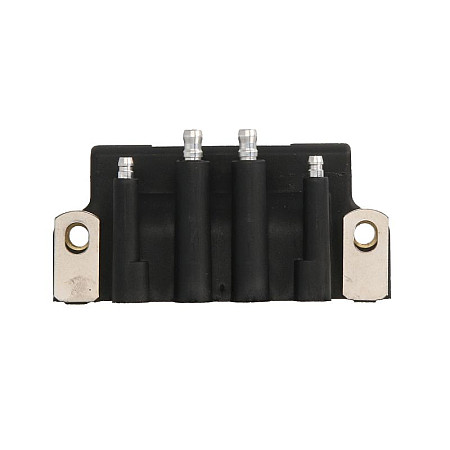 Bobina de inductie JOHNSON/EVINRUDE 150/175 HP V-6 looper 1991-1999 2/3/4/6/8/9.9/15/28/40/45/50/90 HP 1991-1999 90/115 HP V-4 looper 1995-1999 SIERRA INTERNATONAL LLC 18-5170