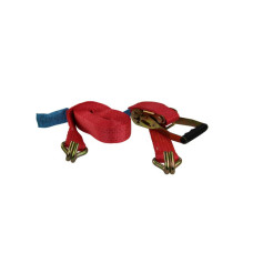 Chinga fixare CargoParts linie rosie marfa 6m 55 m 05 m cu o 5000daN clichet RO! CARGOPARTS PK06M-01-5T