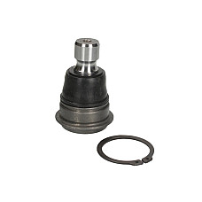 Articulatie sarcina/ghidare Pivot axa Dreapta/Stanga inferior fata diametru con 20mm NISSAN MURANO I QASHQAI I QASHQAI II TEANA I X-TRAIL X-TRAIL II X-TRAIL III RENAULT KADJAR KOLEOS I 1.2-3.5 08.03- MOOG NI-BJ-4954