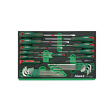 Unelte (inserturi) pentru carucioare Introduceti tava cu instrumente pentru carucior setul de instrumente 30 szt. dimensiune cartus: 410x285 mm HANS TTF-30U