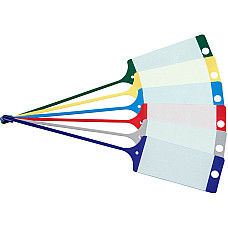 Verificare liste,etichete garaj Keychain 100 pcs colour: blue with data saving possibility EICHNER E-9208-00647-B