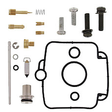 Kit reparatie carburator for number of carburettors 1 for sports use SUZUKI DR 350 1993-1999 ALL BALLS 26-1130