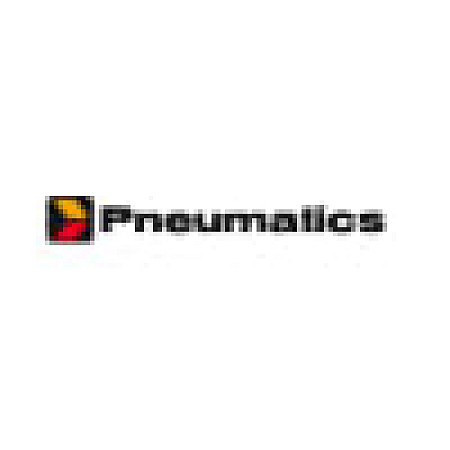 Set reparatie, uscator PNEUMATICS PN-ADH12